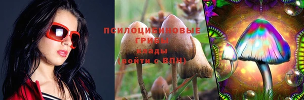 прущий лед Алексин