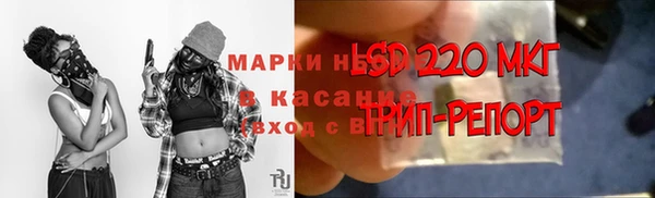 МДПВ Алзамай