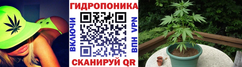 наркошоп  Снежинск  Каннабис ГИДРОПОН 